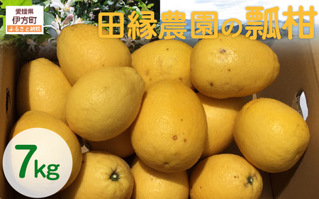 【先行予約】【数量限定】田縁農園の瓢柑（生果）7kg （2026年4月1日より順次発送） IKTA023