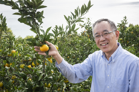 【先行予約】【数量限定】田縁農園の甘平（かんぺい）2kg ※離島への配送不可 （2026年1月25日より順次発送） IKTA028