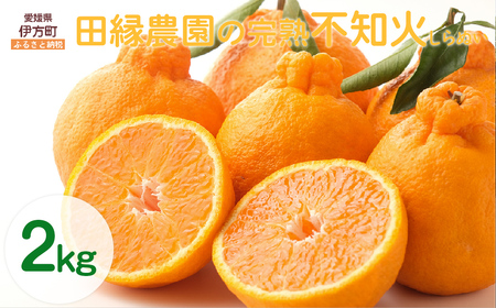 【先行予約】【数量限定】田縁農園の完熟不知火（しらぬい）2kg ※離島への配送不可 （2026年3月20日より順次発送） IKTA029