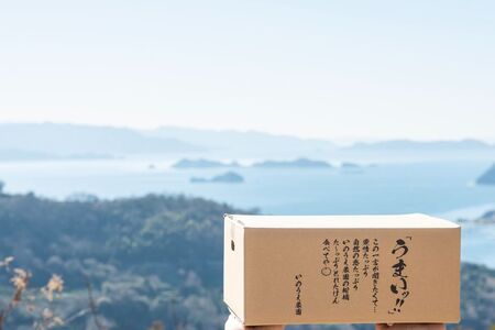 【先行予約】いのうえ農園のなつみ 5kg ※離島への配送不可 (※2026年5月上旬頃より順次発送) IKTAI002