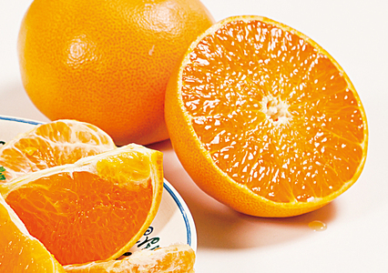 【先行予約】産地直送!愛媛県産せとか(訳あり) 3kg(2026年2月下旬から発送予定) IKTF005