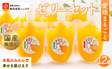 【皮までまるごと国産無添加】愛媛まるごとゼリーセット(12個) IKTF012