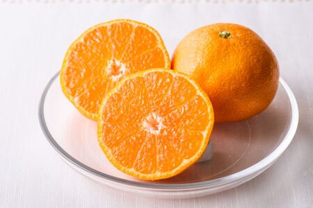 【先行予約】温州みかん(生果)5kg(2025年11月上旬より順次発送) IKTF013