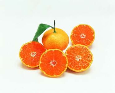 【先行予約】温州みかん(生果)5kg(2025年11月上旬より順次発送) IKTF013