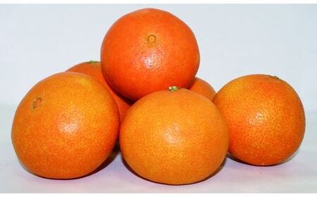 【先行予約】紅華（生果）約5kg （2025年12月上旬より順次発送） IKTF015