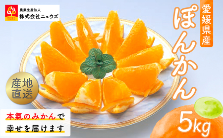 【先行予約】産地直送!愛媛県産ぽんかん 5kg(2026年1月上旬より順次発送) IKTF016
