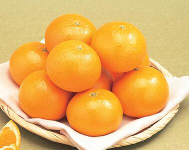 【先行予約】産地直送!愛媛県産清見タンゴール 5kg(2026年3月上旬より順次発送) IKTF022