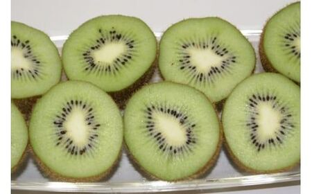 【先行予約】キウイフルーツ（生果）3kg（2025年11月上旬より順次発送） IKTF024