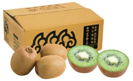 【先行予約】キウイフルーツ（生果）3kg（2025年11月上旬より順次発送） IKTF024