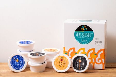 果汁たっぷり！シャーベットなのに滑らかな口当たりニュウズシャーベット3種10個 ※離島への配送不可  IKTF025