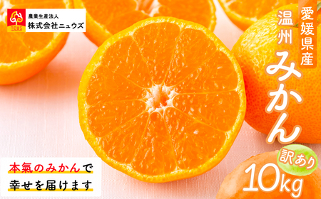 【先行予約】【訳あり】温州みかん 10kg ※離島への配送不可（2025年11月上旬より順次発送） IKTF028