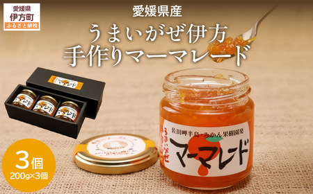 【愛媛県産】うまいがぜ伊方手作りマーマレード（200g×3個） 【ふるさと納税 人気 おすすめ ランキング マーマレード いよかん 伊予柑 みかん ミカン 蜜柑 クリエイト伊方 愛媛県産 愛媛県 伊方町 送料無料】 IKTI012