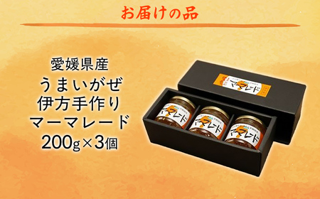 【愛媛県産】うまいがぜ伊方手作りマーマレード（200g×3個） 【ふるさと納税 人気 おすすめ ランキング マーマレード いよかん 伊予柑 みかん ミカン 蜜柑 クリエイト伊方 愛媛県産 愛媛県 伊方町 送料無料】 IKTI012