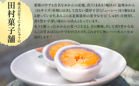 八寿みかん大福6個セット 【ふるさと納税 人気 おすすめ ランキング 大福 みっちゃん大福 温州みかん お土産 セット 八樹みかん 詰合せ 贈答 贈り物 ギフト 田村菓子舗 愛媛県 伊方町 送料無料】 IKTK006