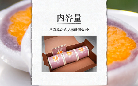 八寿みかん大福6個セット 【ふるさと納税 人気 おすすめ ランキング 大福 みっちゃん大福 温州みかん お土産 セット 八樹みかん 詰合せ 贈答 贈り物 ギフト 田村菓子舗 愛媛県 伊方町 送料無料】 IKTK006