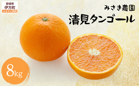 清見タンゴール 8kg ※北海道、沖縄・離島への配送不可(2026年3月中旬ごろから順次発送) IKTAP003