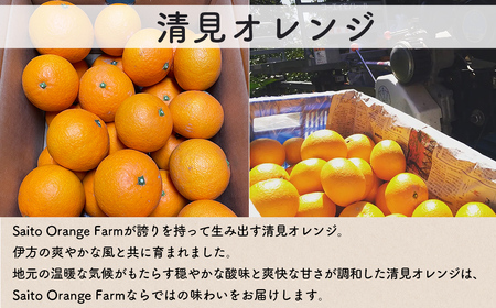 Saito Orange Farmの清見オレンジ3kg ※着日指定不可（2026年3月中旬頃より順次発送） IKTAQ006