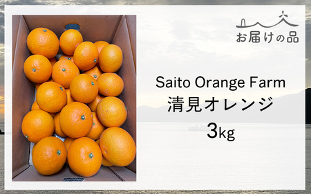 Saito Orange Farmの清見オレンジ3kg ※着日指定不可（2026年3月中旬頃より順次発送） IKTAQ006