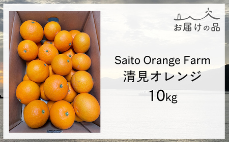 【先行予約】Saito Orange Farmの清見オレンジ10kg（2026年3月中旬頃より順次発送） IKTAQ008