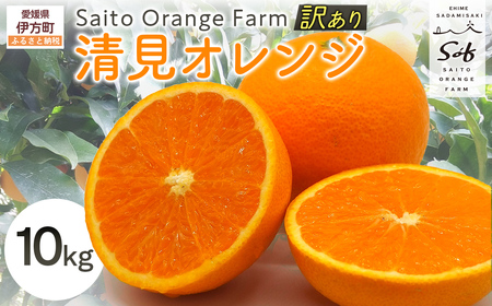 【先行予約】Saito Orange Farmの訳あり清見オレンジ10kg（2026年3月中旬頃より順次発送） IKTAQ010