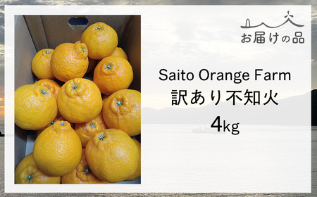 【先行予約】Saito Orange Farmの訳あり不知火4kg（2026年2月下旬頃より順次発送） IKTAQ011