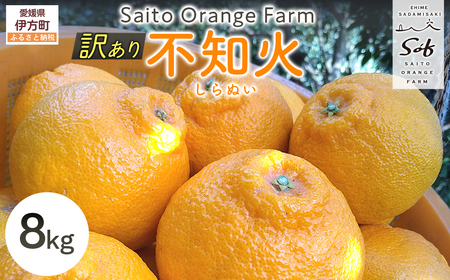 【先行予約】Saito Orange Farmの訳あり不知火8kg （2026年2月下旬頃より順次発送） IKTAQ012