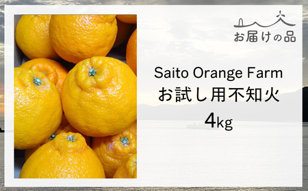 【先行予約】【お試し！】Saito Orange Farmの不知火4kg （2026年2月下旬頃より順次発送） IKTAQ014
