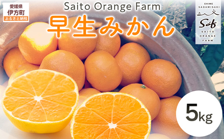 【先行予約】Saito Orange Farmの早生(わせ)みかん5kg （2026年11月以降順次発送） IKTAQ020