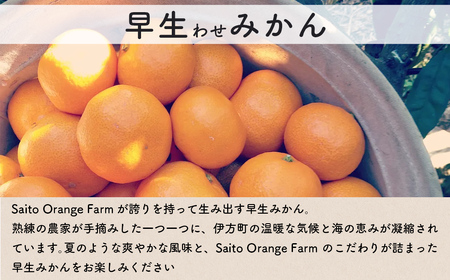 【先行予約】Saito Orange Farmの早生(わせ)みかん5kg （2026年11月以降順次発送） IKTAQ020