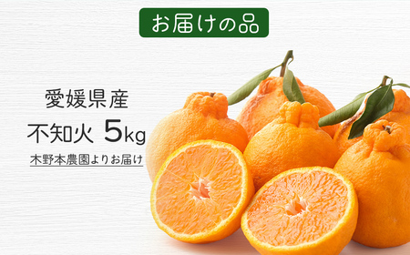 【栽培期間中農薬不使用】【先行受付】【数量限定】農園直送!愛媛県産不知火 5kg (2026年1月上旬頃より順次発送) IKTG007
