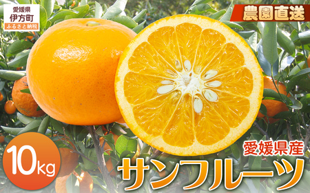【栽培期間中農薬不使用】【先行受付】【数量限定】農園直送!愛媛県産サンフルーツ 10kg (2026年4月上旬頃より順次発送) IKTG012