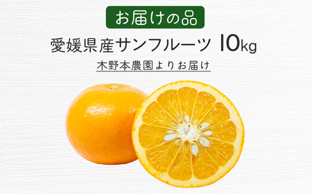 【栽培期間中農薬不使用】【先行受付】【数量限定】農園直送!愛媛県産サンフルーツ 10kg (2026年4月上旬頃より順次発送) IKTG012