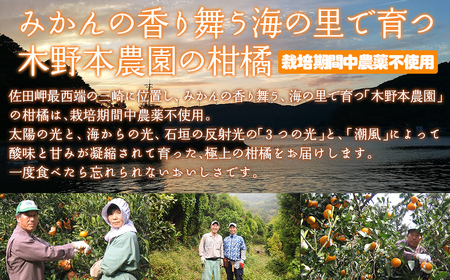 【栽培期間中農薬不使用】【先行受付】【数量限定】農園直送！愛媛県産 きよみ 10kg （2026年2月下旬頃より順次発送） IKTG022