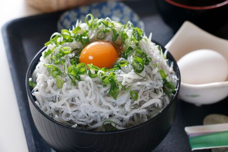 【愛媛県・佐田岬直送】木嶋水産の釜揚げしらす 1kg(250g×4パック)※離島への配送不可 IKTP010 | しらす