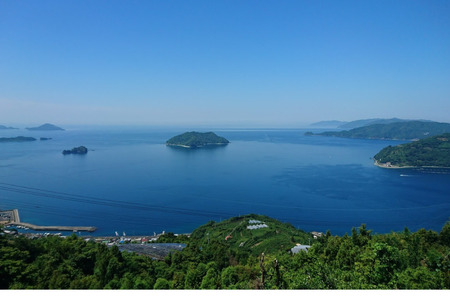 【先行受付】【数量限定】【家庭用】河内晩柑（生果）8kg（2026年5月中旬頃より順次発送） 【ふるさと納税 人気 おすすめ ランキング 柑橘 みかん ミカン 河内晩柑 蜜柑 果物 生果 フルーツ 家庭用 Y.ONE農園 愛媛県産 愛媛県 伊方町 送料無料】 IKTQ008