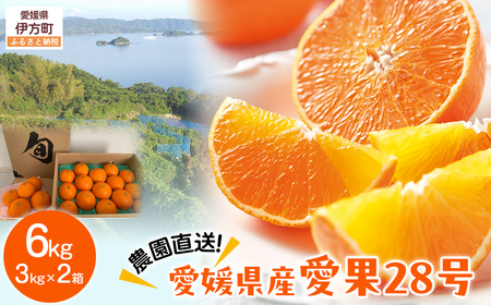 【先行予約】【数量限定】＼農園直送／愛媛県産 愛果28号 3kg×2箱（2025年12月中旬より順次発送） 【ふるさと納税 人気 おすすめ ランキング 柑橘 みかん ミカン 蜜柑 愛果28号 紅 まどんな と同品種 果物 フルーツ 岡市農園 愛媛県産 愛媛県 伊方町 送料無料】 IKTV006
