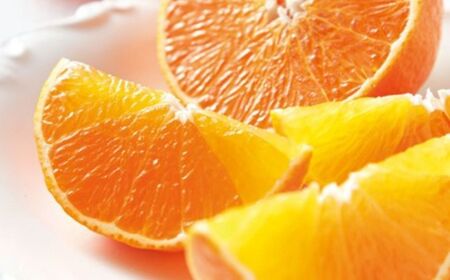 【先行予約】【数量限定】＼農園直送／愛媛県産せとか5kg×1箱（家庭用）（2026年2月下旬より順次発送） 【ふるさと納税 人気 おすすめ ランキング 柑橘 みかん ミカン 蜜柑 せとか 果物 フルーツ 柑橘の大トロ 家庭用 農園直送 産地直送 岡市農園 愛媛県産 愛媛県 伊方町 送料無料】 IKTV008