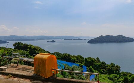 【先行予約】【数量限定】【優】＼農園直送／愛媛県産愛果48号 約2.5kg（2026年2月下旬より順次発送） IKTV012