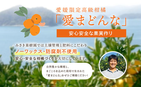 【先行予約】【秀品】愛まどんな 約3kg（10～15玉入り）※離島への配送不可（2025年12月上旬頃より順次発送） IKTAR003