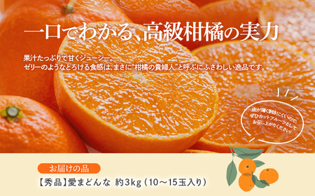 【先行予約】【秀品】愛まどんな 約3kg（10～15玉入り）※離島への配送不可（2025年12月上旬頃より順次発送） IKTAR003