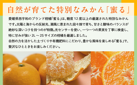 JAにしうわ みつる共選 「蜜る」2.5kg(2S~2L)※離島への配送不可(2025年11月中旬より順次発送予定) 【 柑橘 ミカン みかん 蜜る 生果 】 IKTBC003