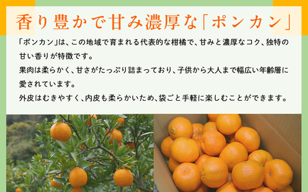 【先行予約】【数量限定】JAにしうわ みつる共選 ポンカン約10kg（2S～2L）※離島への配送不可（2026年1月中旬より順次発送予定） 【 ぽんかん ポンカン みかん ミカン 果物 】 IKTBC005