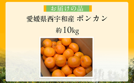 【先行予約】【数量限定】JAにしうわ みつる共選 ポンカン約10kg（2S～2L）※離島への配送不可（2026年1月中旬より順次発送予定） 【 ぽんかん ポンカン みかん ミカン 果物 】 IKTBC005