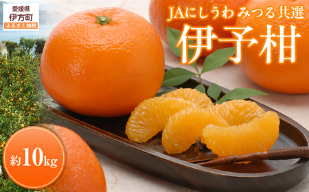 【先行予約】【数量限定】JAにしうわ みつる共選 伊予柑 約10kg ※離島への配送不可（2026年1月上旬より順次発送予定） 【 みかん ミカン 伊予柑 いよかん 果物 】 IKTBC007