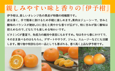 【先行予約】【数量限定】JAにしうわ みつる共選 伊予柑 約10kg ※離島への配送不可（2026年1月上旬より順次発送予定） 【 みかん ミカン 伊予柑 いよかん 果物 】 IKTBC007
