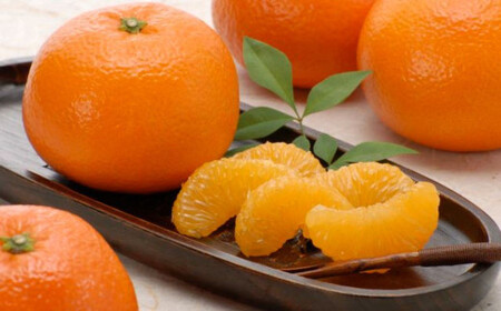 【先行予約】【数量限定】JAにしうわ みつる共選 伊予柑 約10kg ※離島への配送不可（2026年1月上旬より順次発送予定） 【 みかん ミカン 伊予柑 いよかん 果物 】 IKTBC007