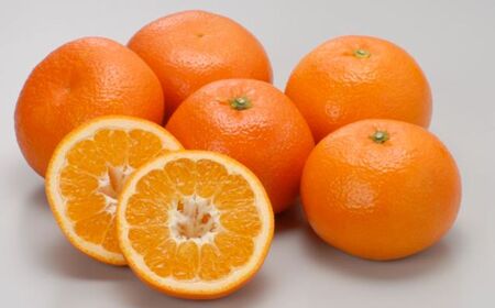 【先行予約】【数量限定】JAにしうわ みつる共選 伊予柑 約10kg ※離島への配送不可（2026年1月上旬より順次発送予定） 【 みかん ミカン 伊予柑 いよかん 果物 】 IKTBC007