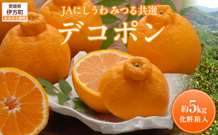 【先行予約】【数量限定】JAにしうわ みつる共選 デコポン 約5kg（化粧箱）※離島への配送不可（2026年2月中旬より順次発送予定） 【 みかん ミカン デコポン 不知火 しらぬい 果物 】 IKTBC008