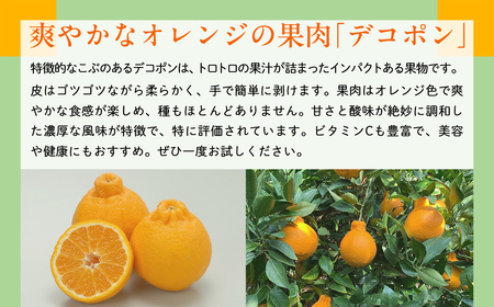 【先行予約】【数量限定】JAにしうわ みつる共選 デコポン 約5kg（化粧箱）※離島への配送不可（2026年2月中旬より順次発送予定） 【 みかん ミカン デコポン 不知火 しらぬい 果物 】 IKTBC008