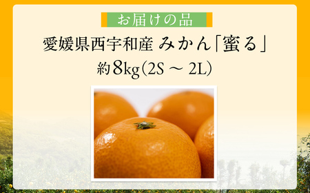 JAにしうわ みつる共選 「蜜る」8kg（2S～2L）4kg×2箱※離島への配送不可（2025年11月中旬より順次発送予定） 【 柑橘 ミカン みかん 蜜る 生果 】 IKTBC013